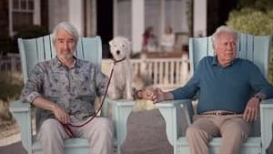 Grace and Frankie 7. Sezon 1. Bölüm