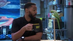 Disjointed 1. Sezon 15. Bölüm