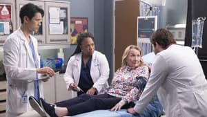 Grey's Anatomy 19. Sezon 17. Bölüm