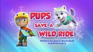 PAW Patrol 4. Sezon 11. Bölüm