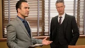 Law & Order: Special Victims Unit 22. Sezon 13. Bölüm