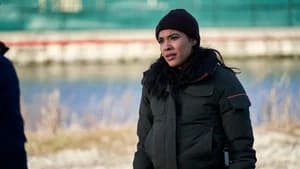 Chicago P.D. 7. Sezon 14. Bölüm