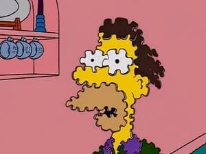 The Simpsons 14. Sezon 17. Bölüm