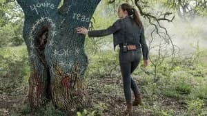 Fear the Walking Dead 5. Sezon 11. Bölüm