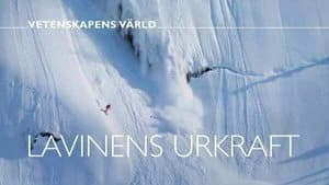 Vetenskapens värld 47. Sezon 41. Bölüm