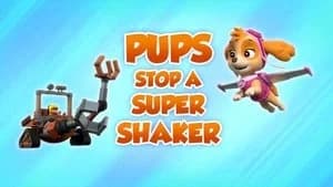 PAW Patrol 8. Sezon 22. Bölüm