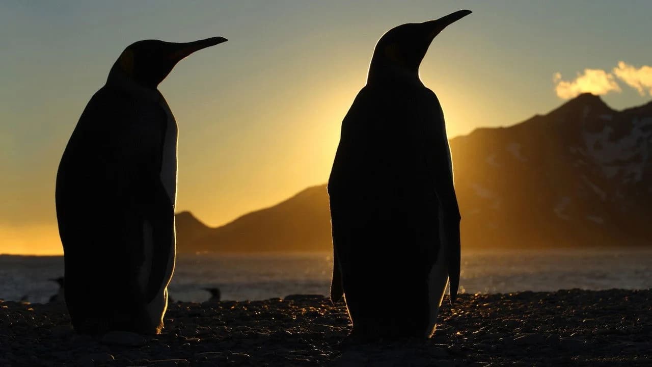 Frozen Planet