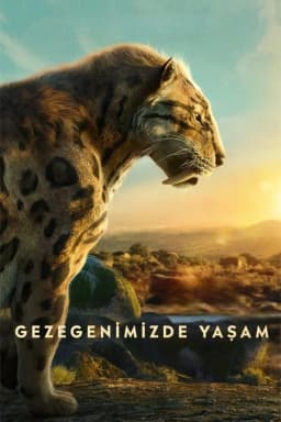 Sezon 1