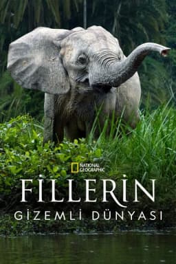 Sezon 1