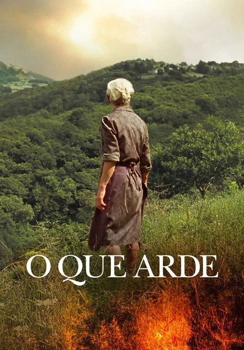 O que arde