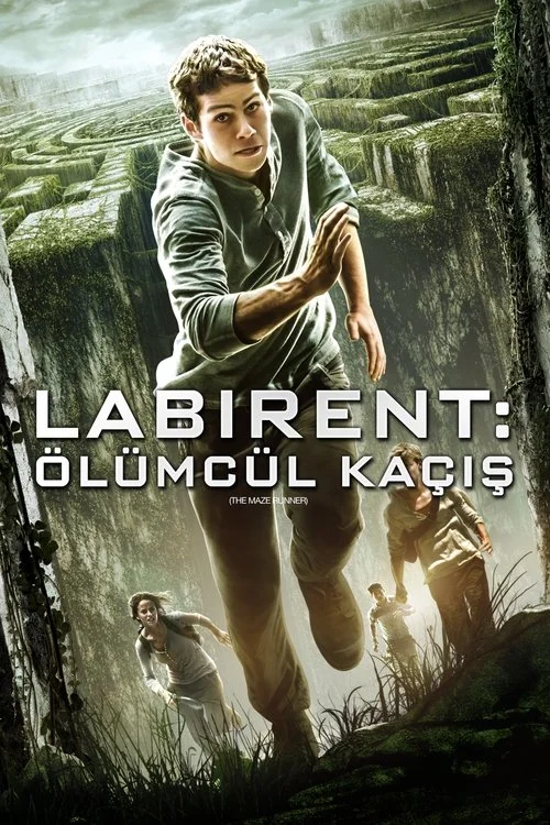 The Maze Runner